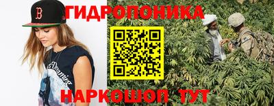 дмт Новозыбков