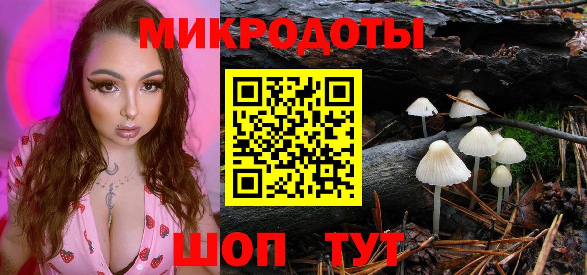 Галлюциногенные грибы GOLDEN TEACHER Славгород