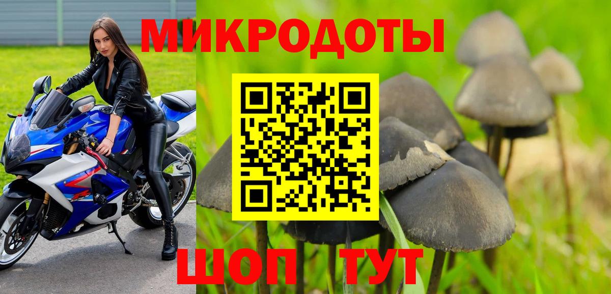 Псилоцибиновые грибы Psilocybe  Галлюциногенные грибы GOLDEN TEACHER  Вход с VPN  Славгород 